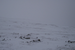 Февраль 2010 на Перевале Дятлова
